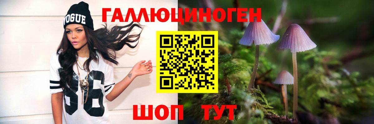 Галлюциногенные грибы Psilocybe Гуково